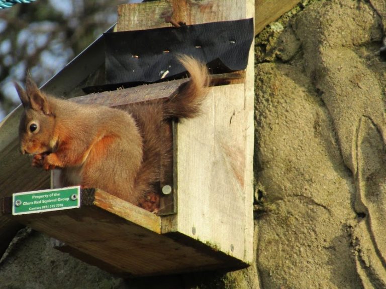 20181221143603_IMG_0005