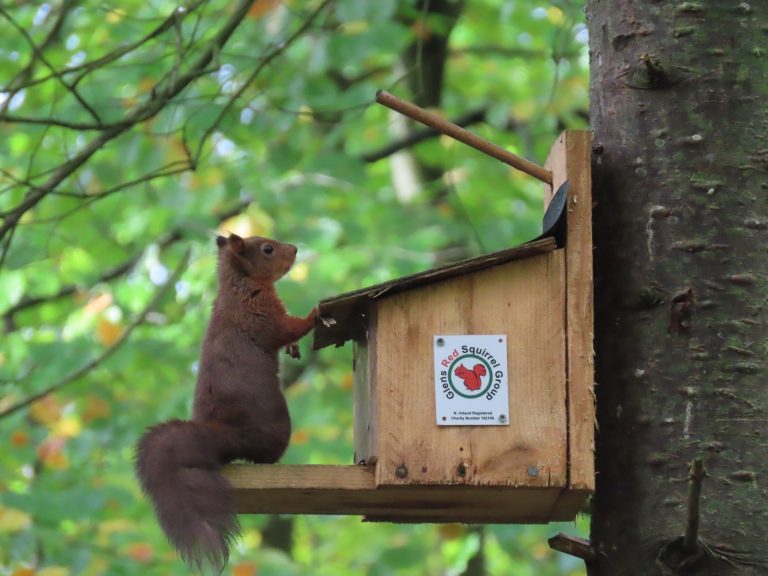 313376372_5719505208111876_1339577371996257112_n